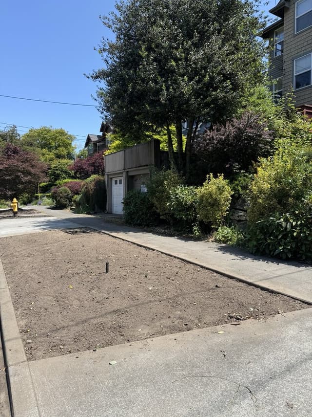 Shrub Removal