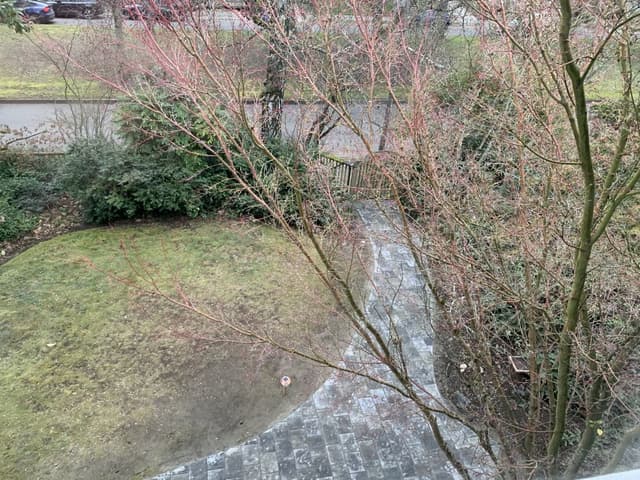 Landscape Maintenance