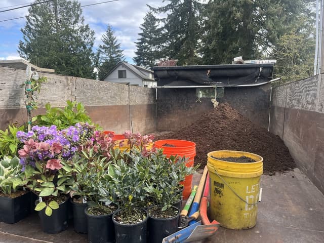 Shrub Planting